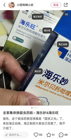 寵物保健食品 寵物經(jīng)濟中潛藏的新藍海